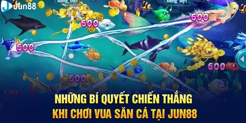 Bỏ Túi Những Mẹo Chơi Vua Săn Cá Thắng Lớn Từ Cao Thủ