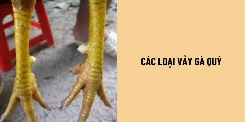 cac-loai-vay-ga-quy